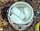 Znaczne ilości narkotyków ukryte w lesie pod Toruniem. Policjanci zatrzymali 44-latka, gdy rozkopywał ziemię