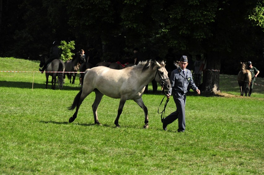 Sieraków - Tarpaniada 2013