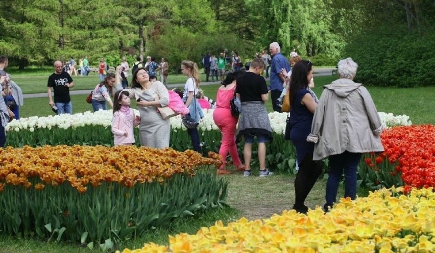 Łódzki ogród botaniczny rozszerza godziny otwarcia od maja!