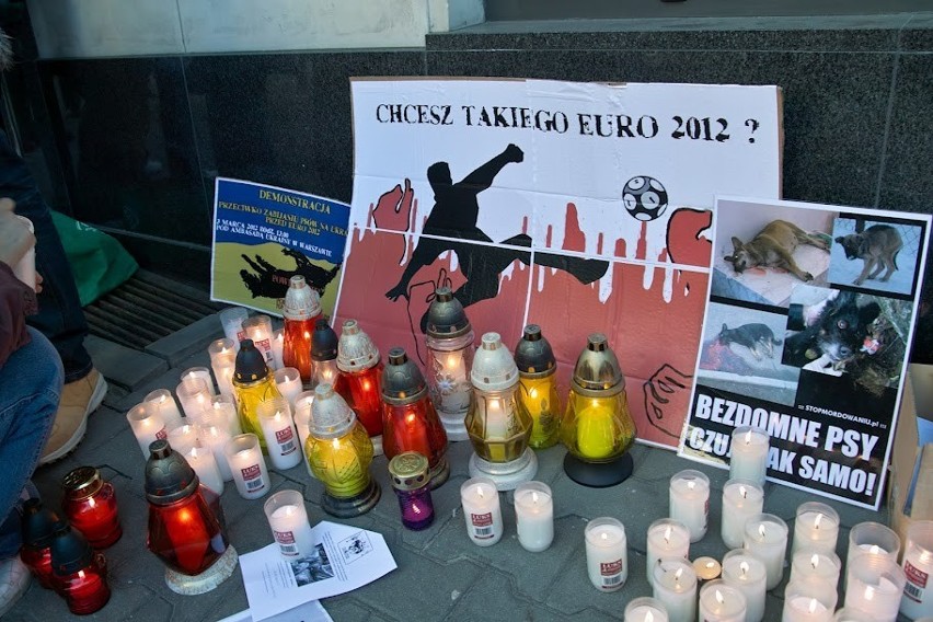 Druga demonstracja przeciw masowemu zabijaniu psów na Ukrainie [ZDJĘCIA]