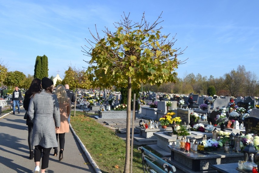 Wolontariusze ponownie kwestowali na będzińskich cmentarzach