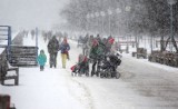 Zima 2016 na Pomorzu. Powiało, posypało. Przyślij swoje zdjęcia!