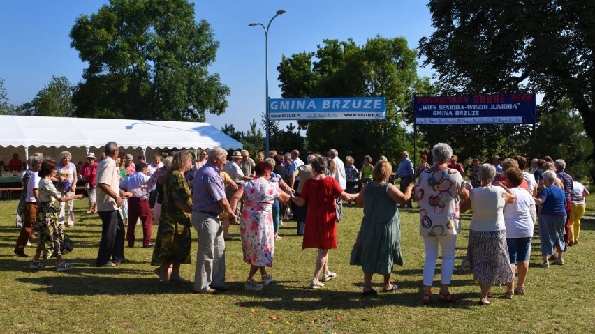 Tak było na Pikniku Seniora 2022 w gminie Brzuze. Zobacz zdjęcia z uroczystości w Studziance i imprezy w Dobrem