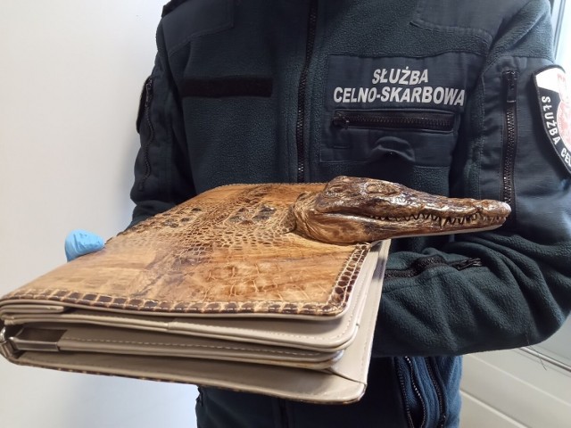 Torbę wykonana ze skóry chronionego gatunku krokodyla próbował przemycić do Polski 61-letni Ukrainiec.