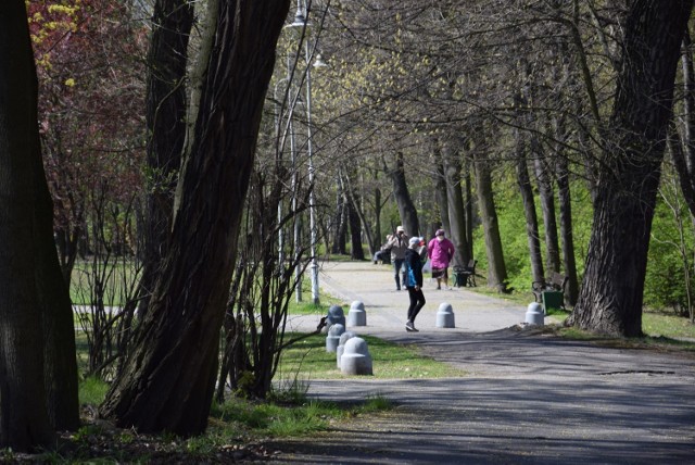 Park Kościuszki w Katowicach 21 kwietnia