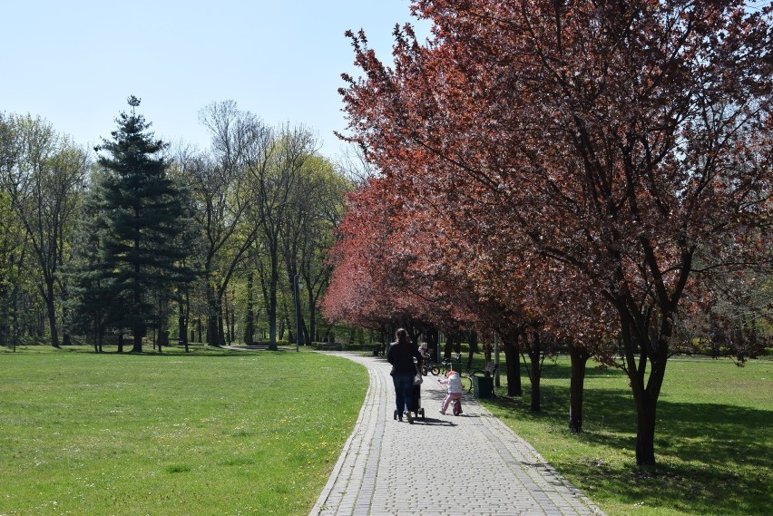 Park Kościuszki w Katowicach 21 kwietnia