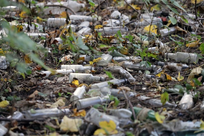 Dzikie wysypisko śmieci w Legnicy, tuż obok parku