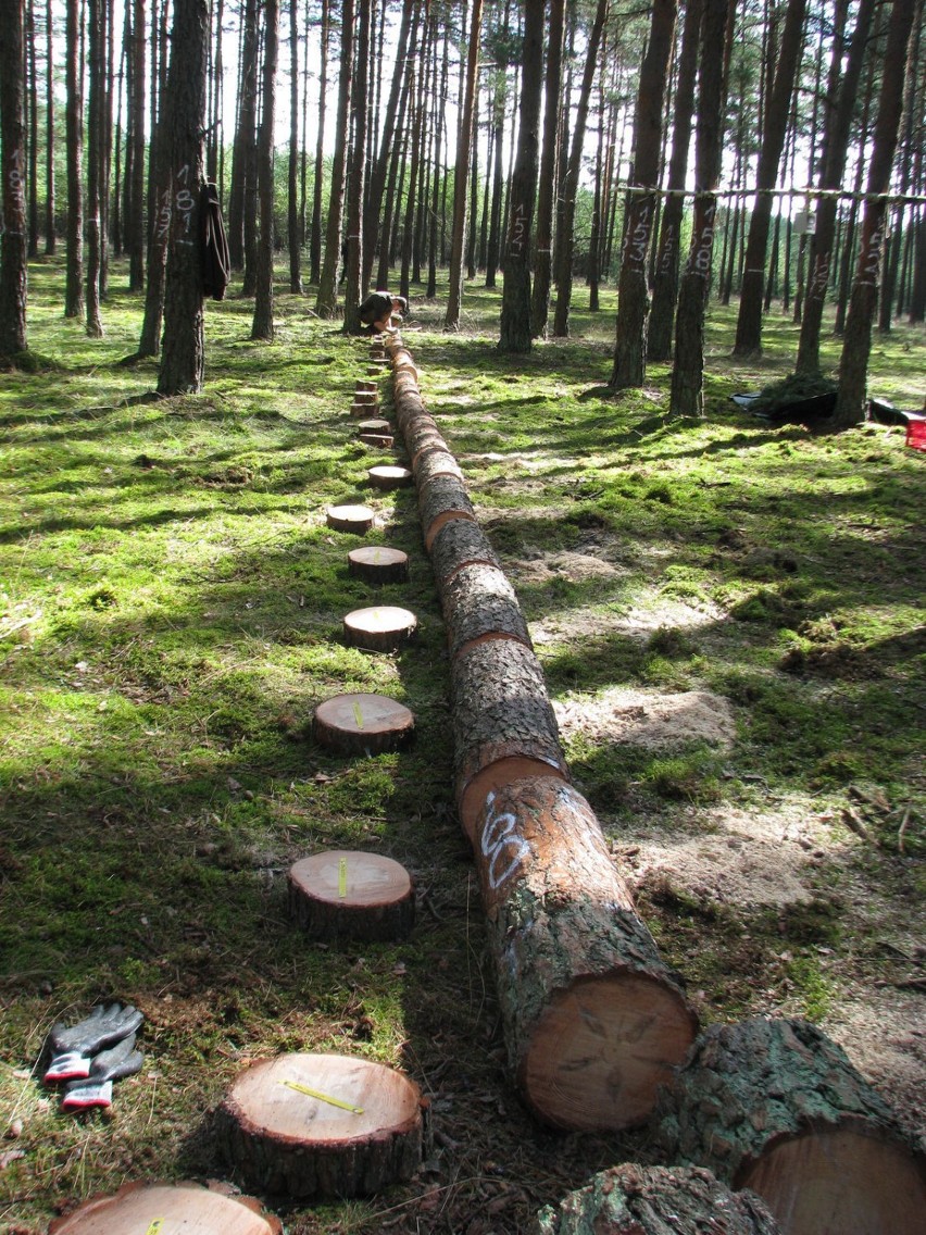 Badania nad określaniem biomosy