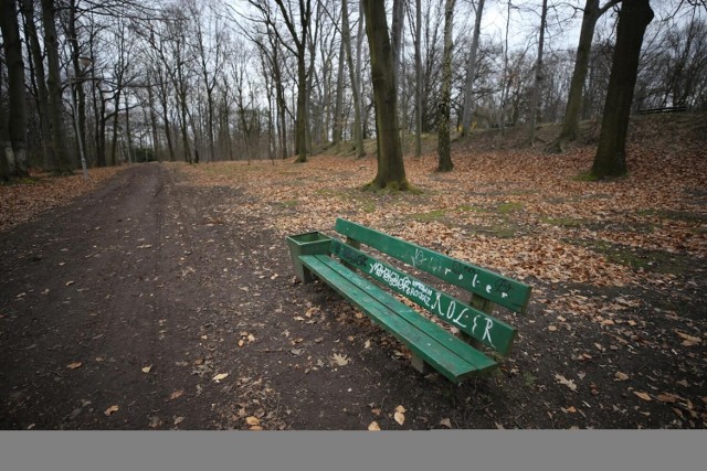 Park Kościuszki w Katowicach.