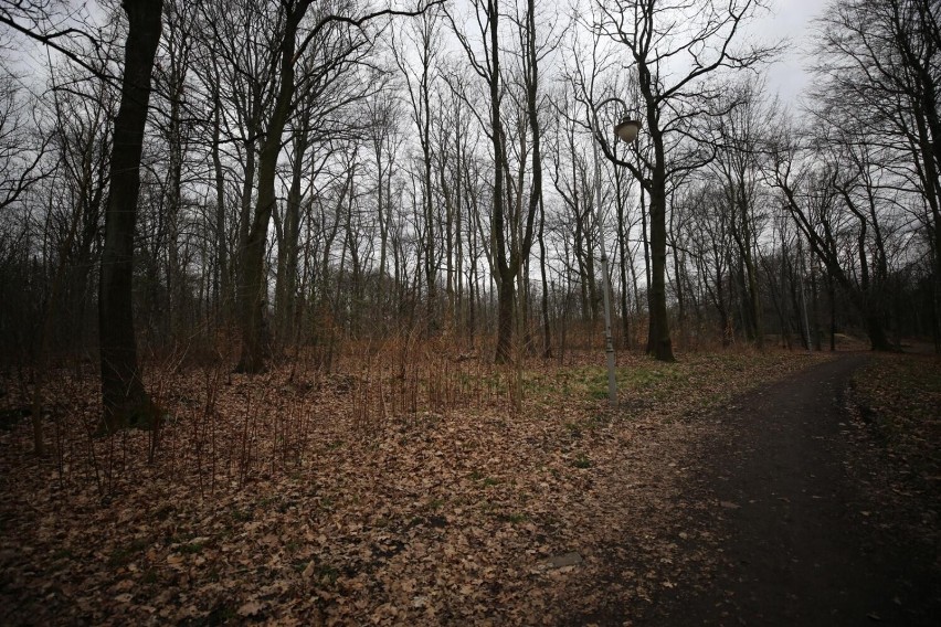 Park Kościuszki w Katowicach.