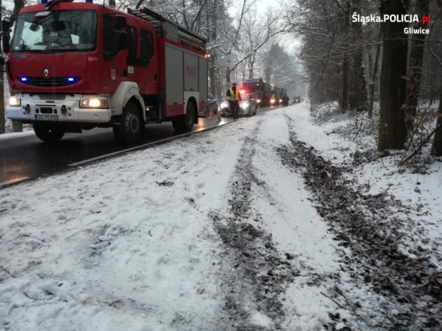 W piątek, 29 stycznia, samochód osobowy wypadł z drogi łączącej Proboszczowice i Kotulin na terenie gminy Toszek i uderzył w drzewo.