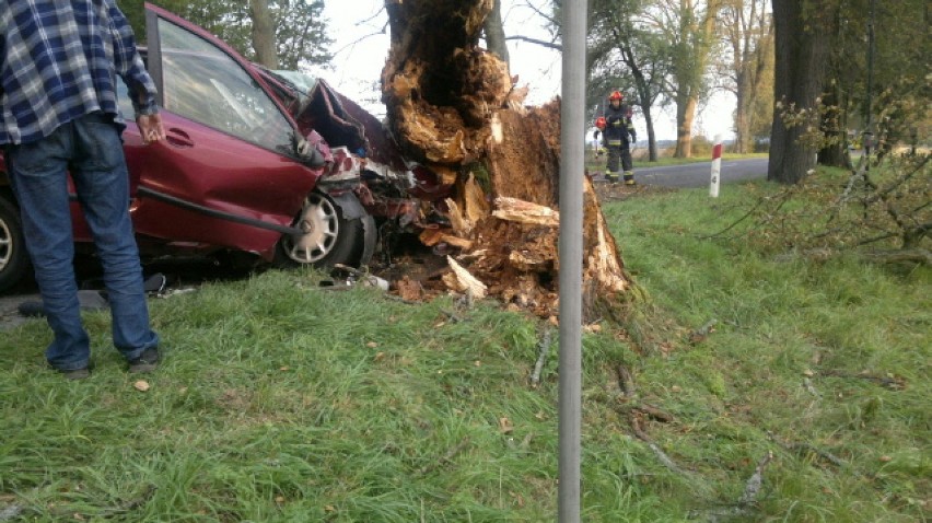Wypadek. Kierowca uderzył w drzewo w zabytkowej alei...