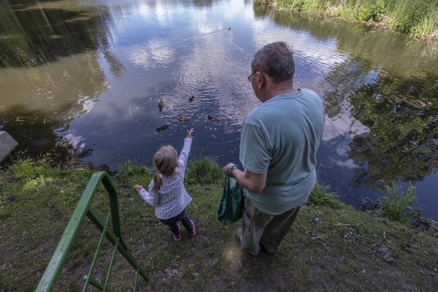 Wraz z oczyszczeniem największego akwenu zakończył się ostatni etap renowacji stawów sołackich. Odmulono wszystkie cztery akweny.

Wykonano także prace towarzyszące. Wyremontowano drewnianą platformę widokową.

Usunięto zanieczyszczenia z dna i brzegów stawu. Wymieniono umocnienia skarp oraz uzupełniono opaski faszynowe i narzuty kamienne. Przeprowadzono też prace konserwacyjno-remontowe w obrębie budowli piętrząco-upustowej i kanału upustowego.

Kolejne zdjęcie --->