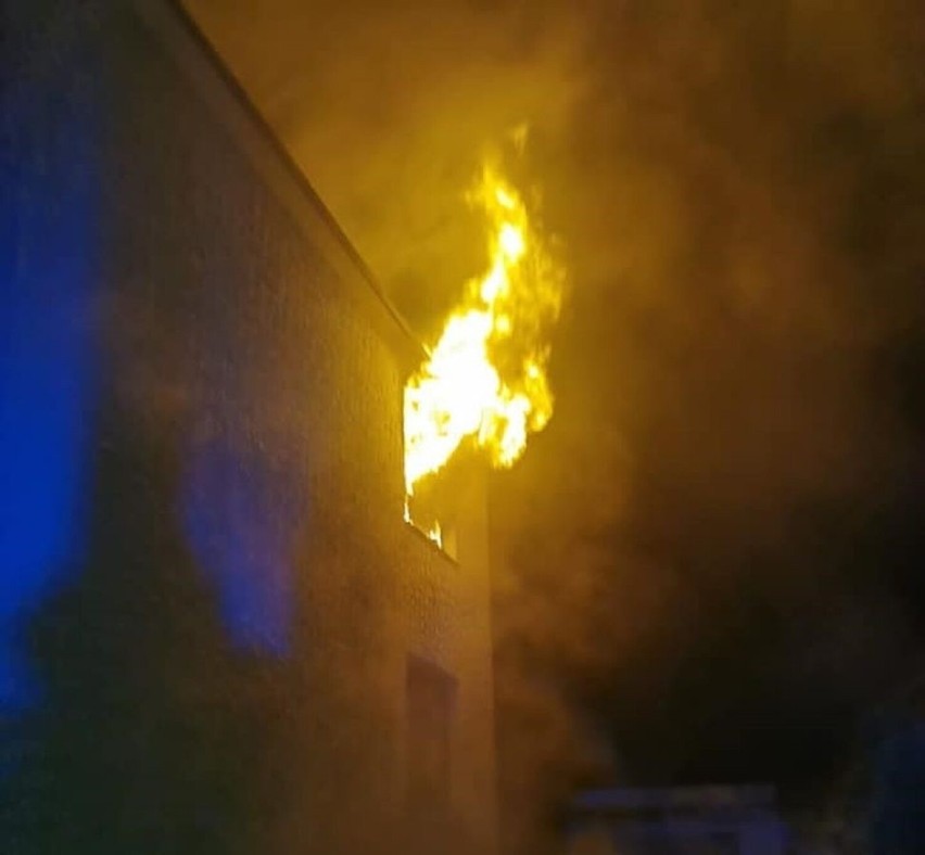 Pożar budynku jednorodzinnego w Zgierzu. Dwie osoby poszkodowane. Policja bada przyczynę pożaru