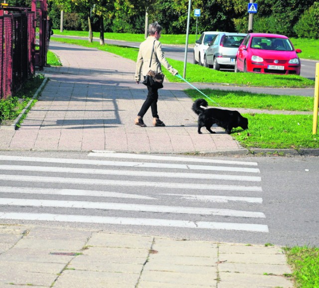 Przy ul. Kwiatkowskiego, między ulicami Kotarbińskiego i Wybickiego, ma się pojawić chodnik ze ścieżką rowerową.