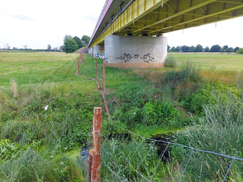 Od Sowiej Góry do Międzychodu wybudowano… płot. Ma zatrzymać...