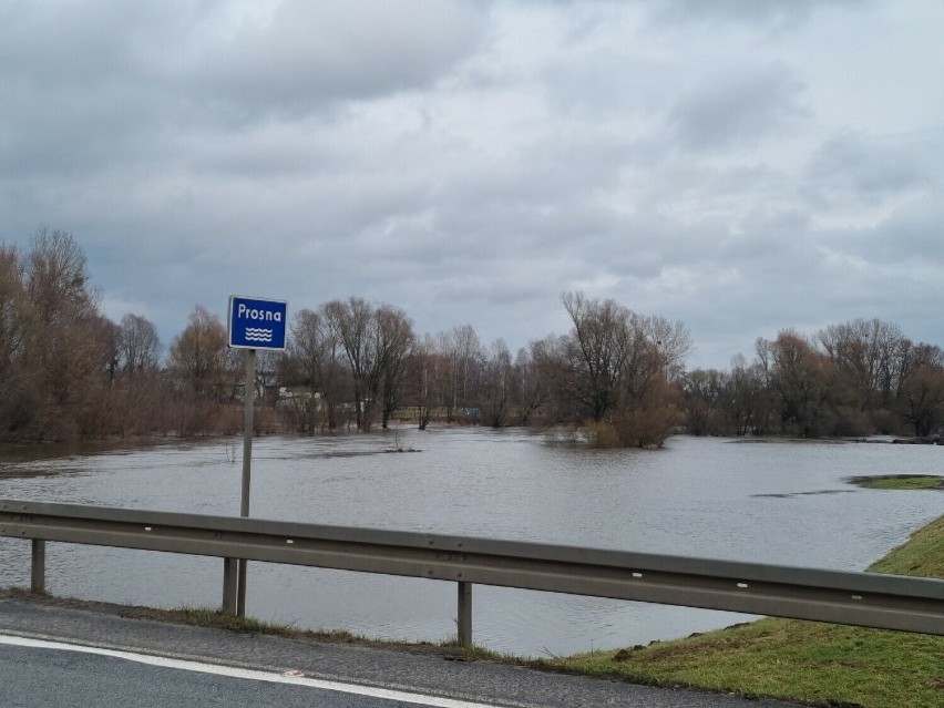 Obniża się poziom wody w Prośnie i innych rzekach powiatu pleszewskiego. Sytuacja wraca powoli do normy
