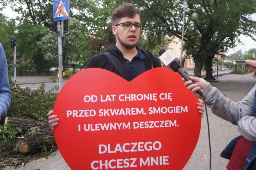 Protest przeciwko wycince drzew w Radomsku. Dawid Wawryka i...