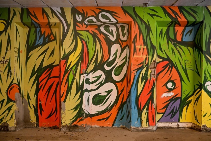 Sztuka, historia i kolory miasta. Murale w tunelach i...