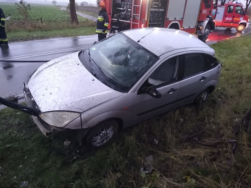 Zdarzenie drogowe między Piasecznikiem i Suchaniem. Chciała uniknąć zderzenia ze zwierzyną 