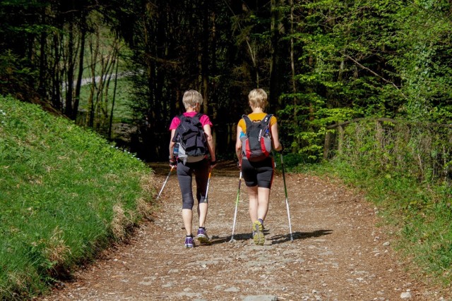 V Opolski Marsz Nordic Walking w Suchym Borze zostanie połączony z Festiwalem Jogi.