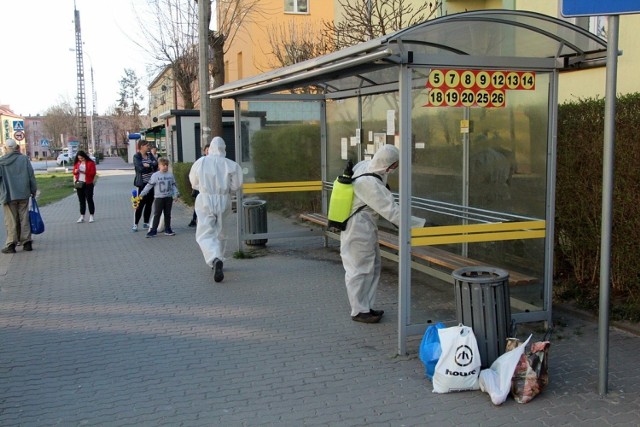 Od przystanków miejskich rozpoczęła się dezynfekcja miejsc publicznych w Skarżysku-Kamiennej. Ekipę Miejskiej Komunikacji Miejskiej dezynfekującej przystanki MKS można było spotkać na mieście w czwartkowe popołudnie.

Działania związane są z pandemią koronawirusa. Skarżysko-Kamienna jest największym ogniskiem koronawirusa w województwie świętokrzyskim.

Jak informuje zastępca prezydenta miasta Andrzej Brzeziński, po świętach Wielkanocy dezynfekowane będą inne miejsca publiczne, w których przebywa dużo osób.

Od kilku tygodni regularne dezynfekowane są również autobusy miejskie.

Więcej zdjęć na kolejnych slajdach. 