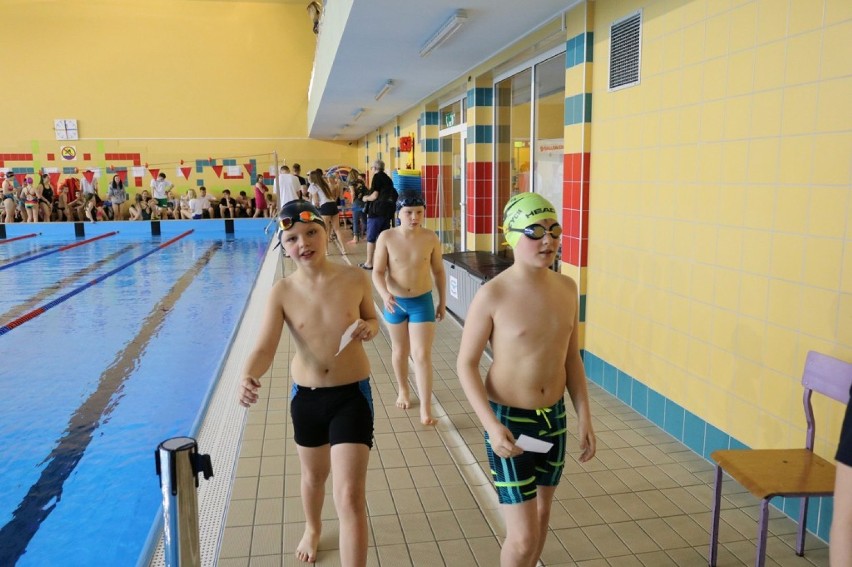Dobiegła końca, zorganizowana w Wałbrzychu, I Szkolna Liga Pływacka 2017