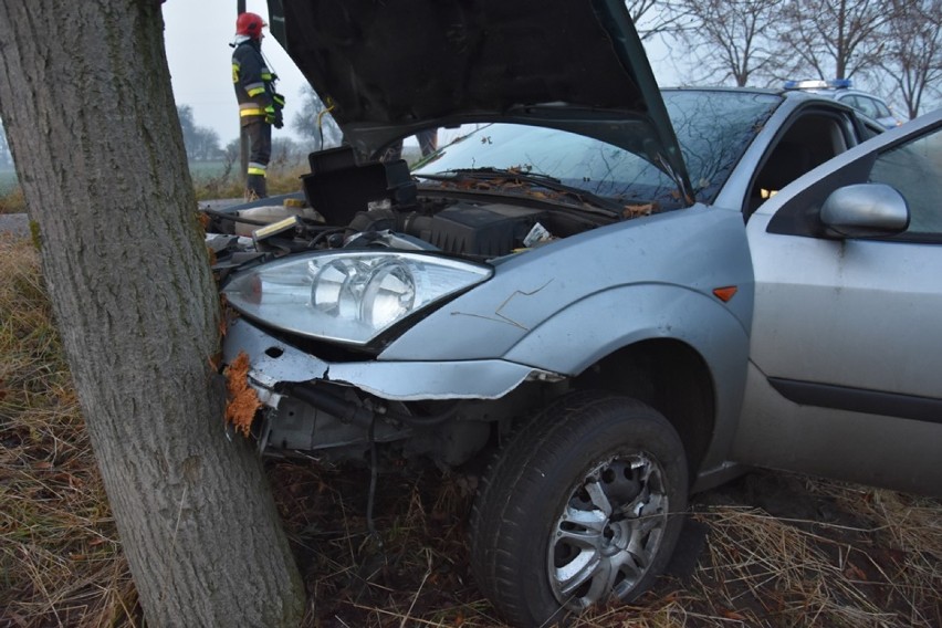Auto uderzyło w drzewo na trasie Manieczki - Boreczek