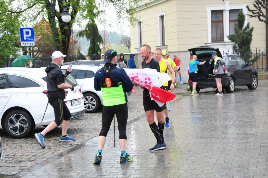 Krośnieński Bieg Konstytucji i Zawody Nordic Walking. Na mecie zameldowało się ponad 200 uczestników [ZDJĘCIA]