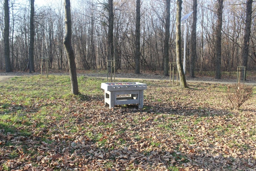 Piekary Śląskie. Park w Brzezinach przechodzi metamorfozę....