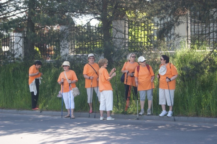 Seniorzy z rawskiego UTW podczas marszu nordic walking