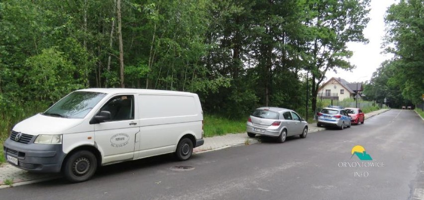 Zwłoki kobiety znaleziono w lesie przy ulicy Brzozowej w...
