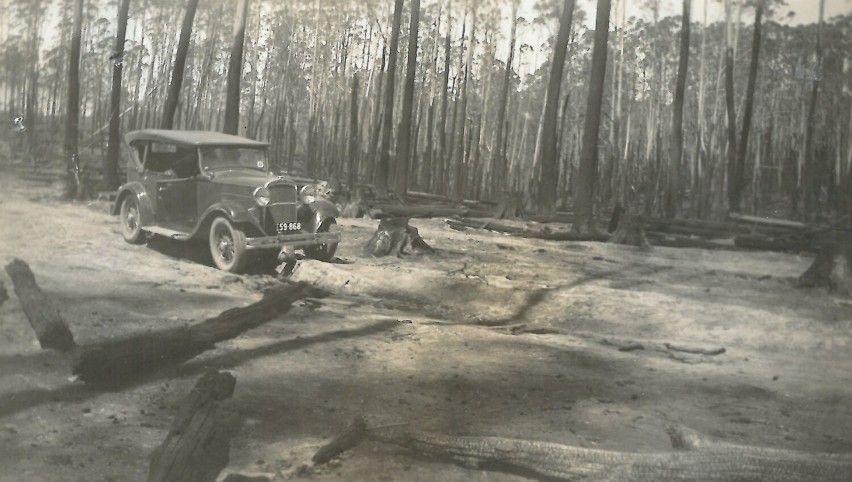 13 stycznia 1939 roku w stanie Wiktoria w Australii doszło...