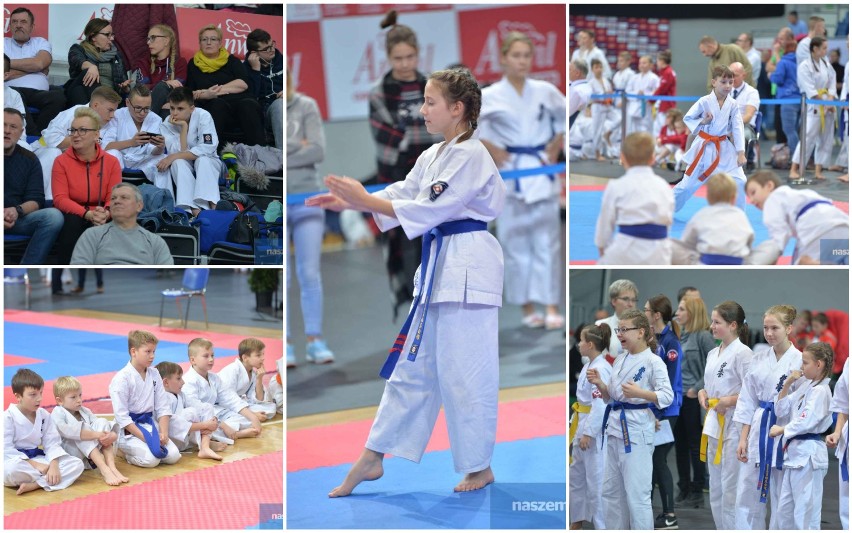 XVIII Ogólnopolski Turniej Karate Kyokushin 2018 - Kujawy IKO Cup Włocławek [zdjęcia, wideo]