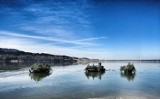 Nowy Sącz. Żywe choinki pomogą w zarybianiu jeziora Rożnowskiego? Wędkarze wykorzystają je do budowania sztucznych tarlisk [ZDJĘCIA]