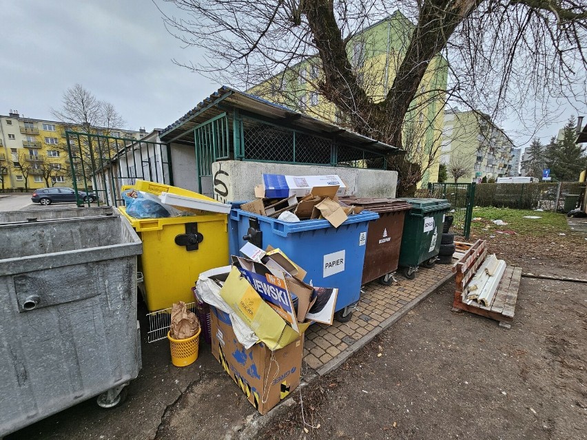 Torunianie dostaną z miasta biodegradowalne worki na śmieci