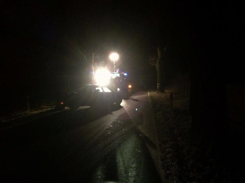 Wieczorny wypadek na terenie gminy Dolice. Samochód uderzył w drzewo [zdjęcia]