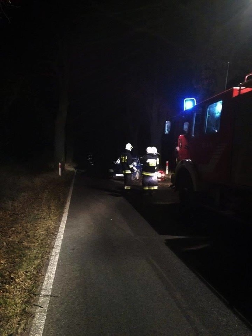 Wieczorny wypadek na terenie gminy Dolice. Samochód uderzył w drzewo [zdjęcia]