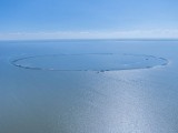 Powstaje Wyspa Estyjska na Zalewie Wiślanym. Milion ton piasku do zasypu grobli sztucznej wyspy
