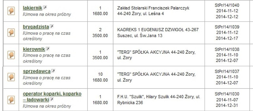 Oferty pracy Żory: Sprawdź, jakie są. Ile możesz zarobić?