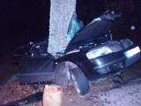 Wypadek koło Braniewa. Skoda uderzyła w drzewo, 19-latek chciał popełnić samobójstwo? [zdjęcia]