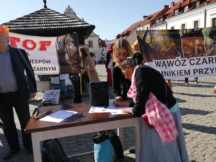 Kazimierz Dolny. Manifestacja na rzecz ochrony wąwozów Kazimierskiego Parku Krajobrazowego. Zobacz zdjęcia