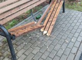 Roztrzaskana ławka i zniszczone drzewko na ścieżce rowerowej w Wągrowcu! W tle biegający mężczyzna z siekierą na ul. Ks. Bukowskiego!