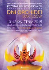 Wystawa Orchidei 2015 potrwa od piątku do niedzieli