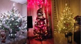 Choinki na Boże Narodzenie 2022 w Rawiczu. Takie piękne, świąteczne drzewka mają w swoich domach nasi Czytelnicy [ZDJĘCIA]