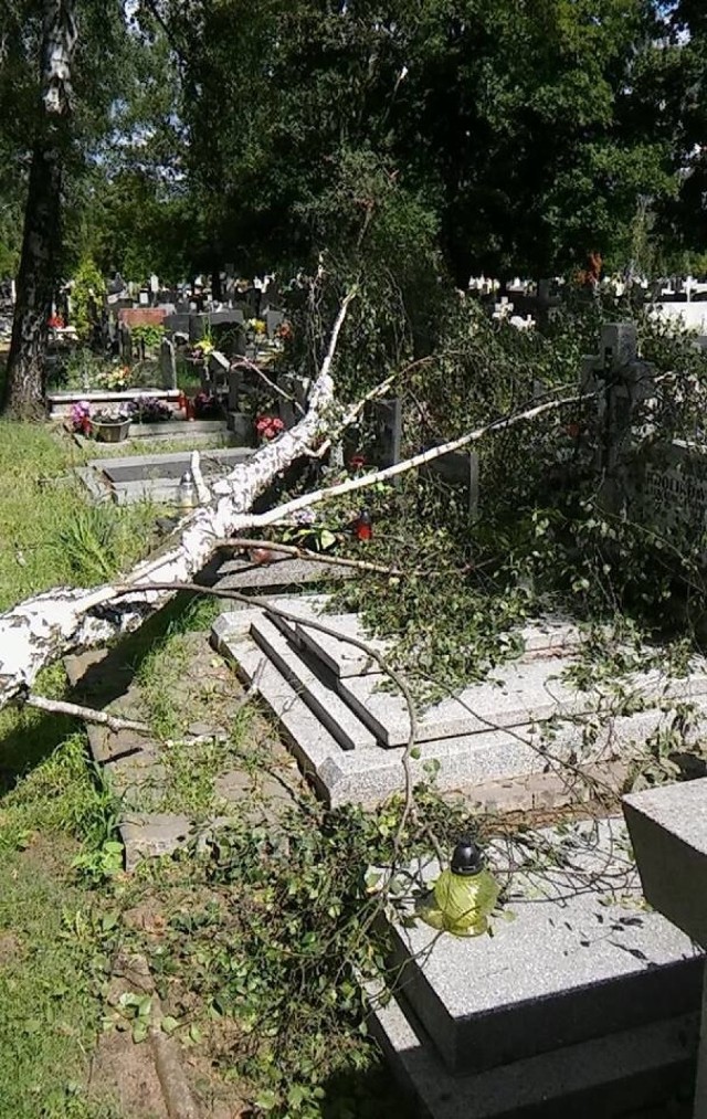 Poniszczone groby, połamane drzewa - taki obraz zastał nasz Czytelnik na cmentarzu na bydgoskim Ludwikowie. - A zarządca cmentarza jest na działce i zupełnie się tym nie przejmuje - informuje nas bydgoszczanin.