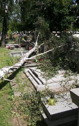 Krajobraz po burzy w Bydgoszczy. Połamane drzewa zniszczyły groby [zdjęcia]