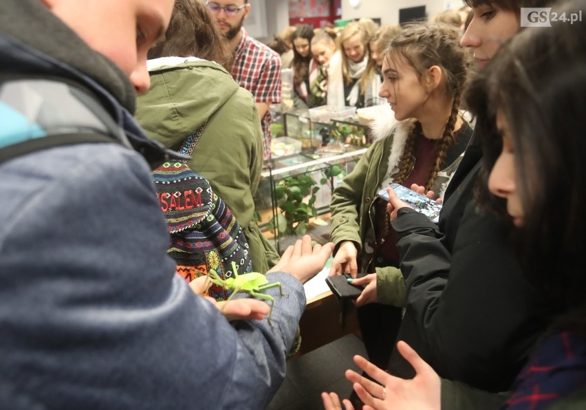 Noc Biologów  w Szczecinie. Wielkie owady, pająki, ciekawe wykłady i laboratoria [ZDJĘCIA, WIDEO] 