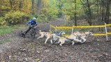 Złoto dla Rakocy Teamu w zakończonym wcześniej Pucharze Polski