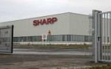 Sharp wrócił do Ostaszewa! Odkupił fabrykę UMC Poland. Za kilka dni zmiana nazwy!